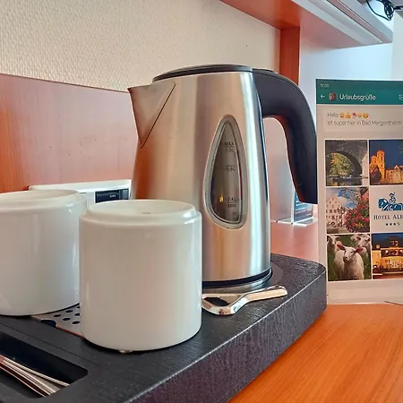 Alexa Hotel 3*