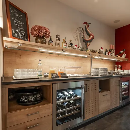 酒店 阿勒可斯酒店 巴特梅根特海姆