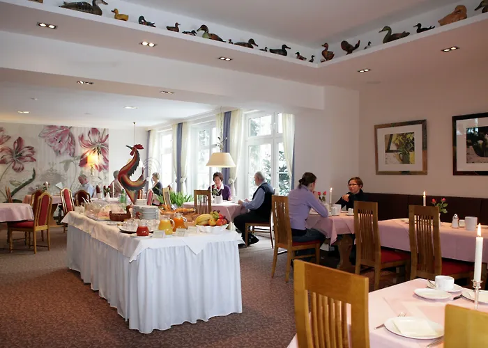 Alexa 3* Bad Mergentheim